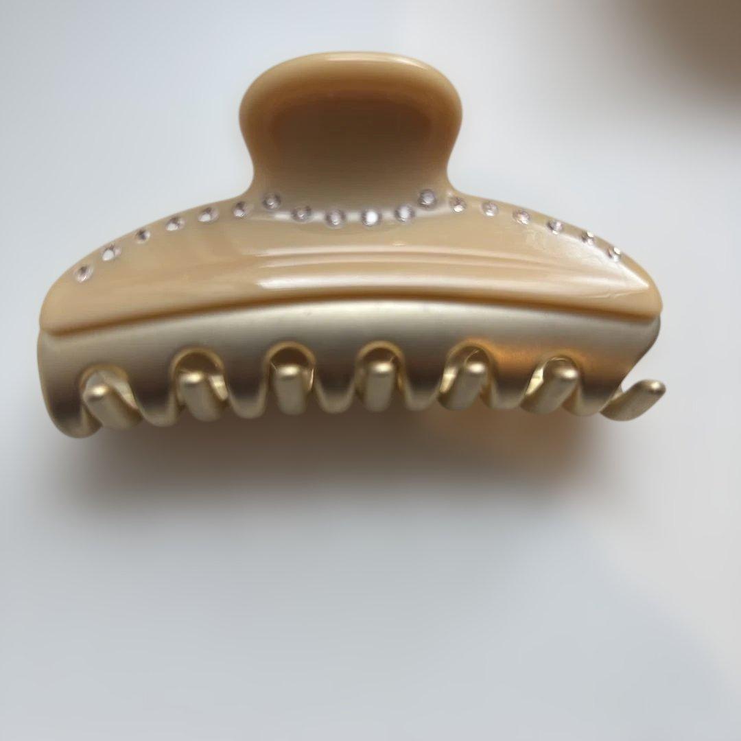 アレクサンドル　ドゥ　パリヘアクリップ