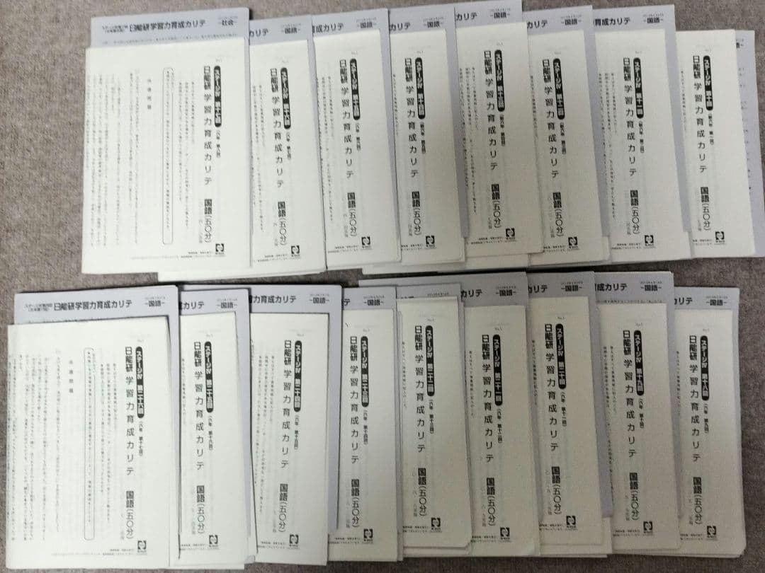 2013年　日能研　6年　前期　合格力育成カリテテスト 全17回