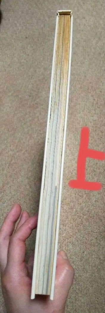 【中身超美品】第1版OTOMO KATSUHIRO ART WORK KABA