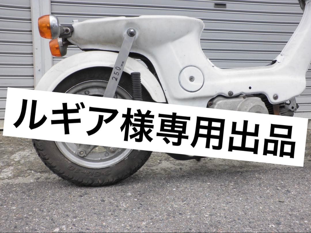 ルギア出品。シャリーベーシック/ノーマル塗装クリア仕上げ