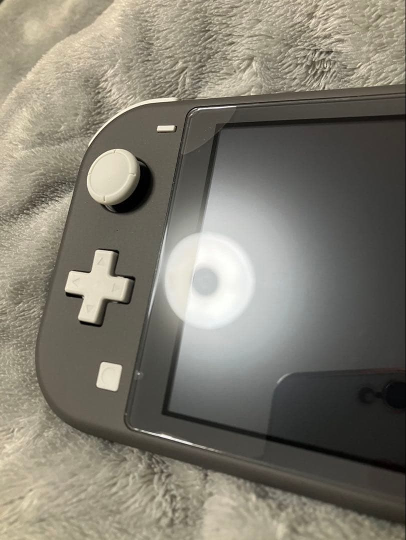 【美品】任天堂 Switch Lite 本体 グレー