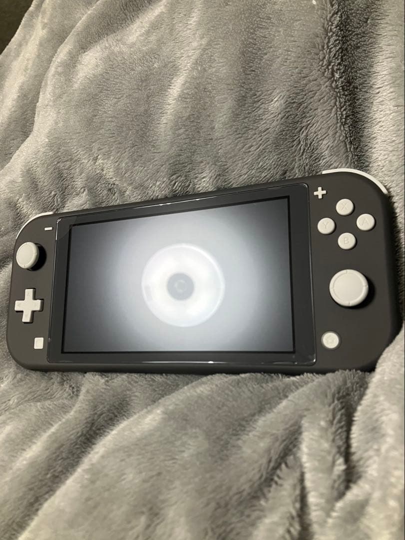 【美品】任天堂 Switch Lite 本体 グレー