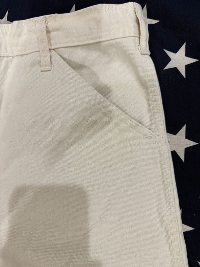 USA製 OLD “Stan Ray ”生成ペインターパンツ W34 I30