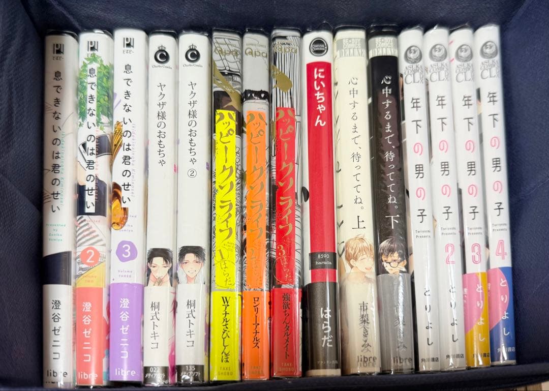 83冊セット まとめ売り BL マンガ 漫画 ボーイズラブ コミック