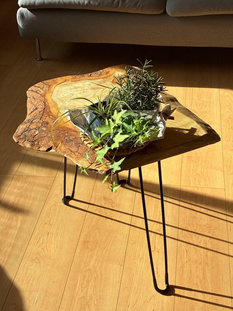 「香る癒やし」国産楠の一枚板サイドテーブル｜北欧・和モダンに合う無垢材