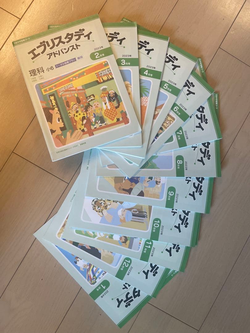 Z会 中学受験コース2023年度 4教科 1年分 エブリスタディ 6年生　解答無
