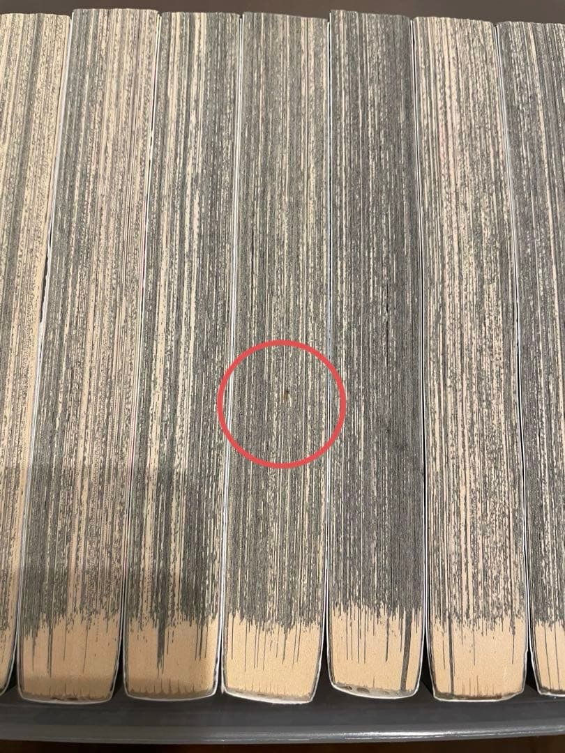 漫画 鬼滅の刃 Demon Slayer 1-21巻セット 英語版