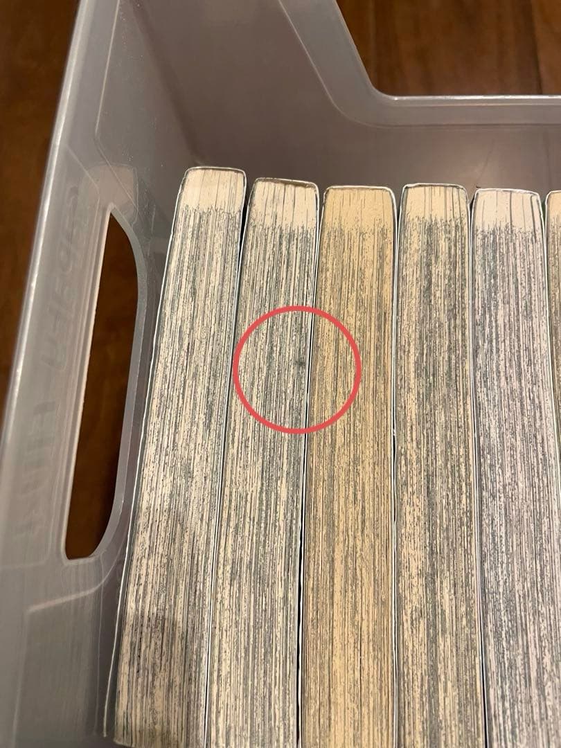 漫画 鬼滅の刃 Demon Slayer 1-21巻セット 英語版