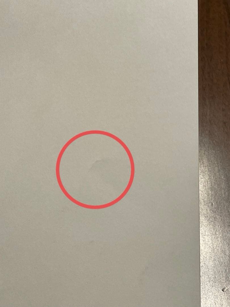 漫画 鬼滅の刃 Demon Slayer 1-21巻セット 英語版