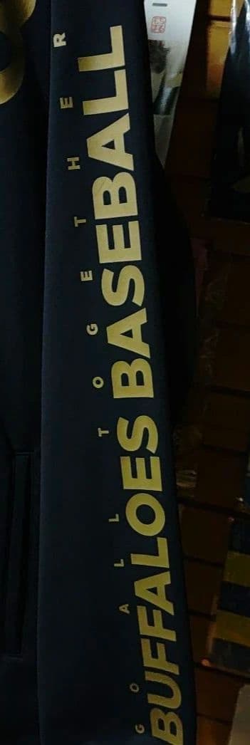 #Buffaloes#野球#オリックス#NPB#プロ#支給#山本由伸#最終値下