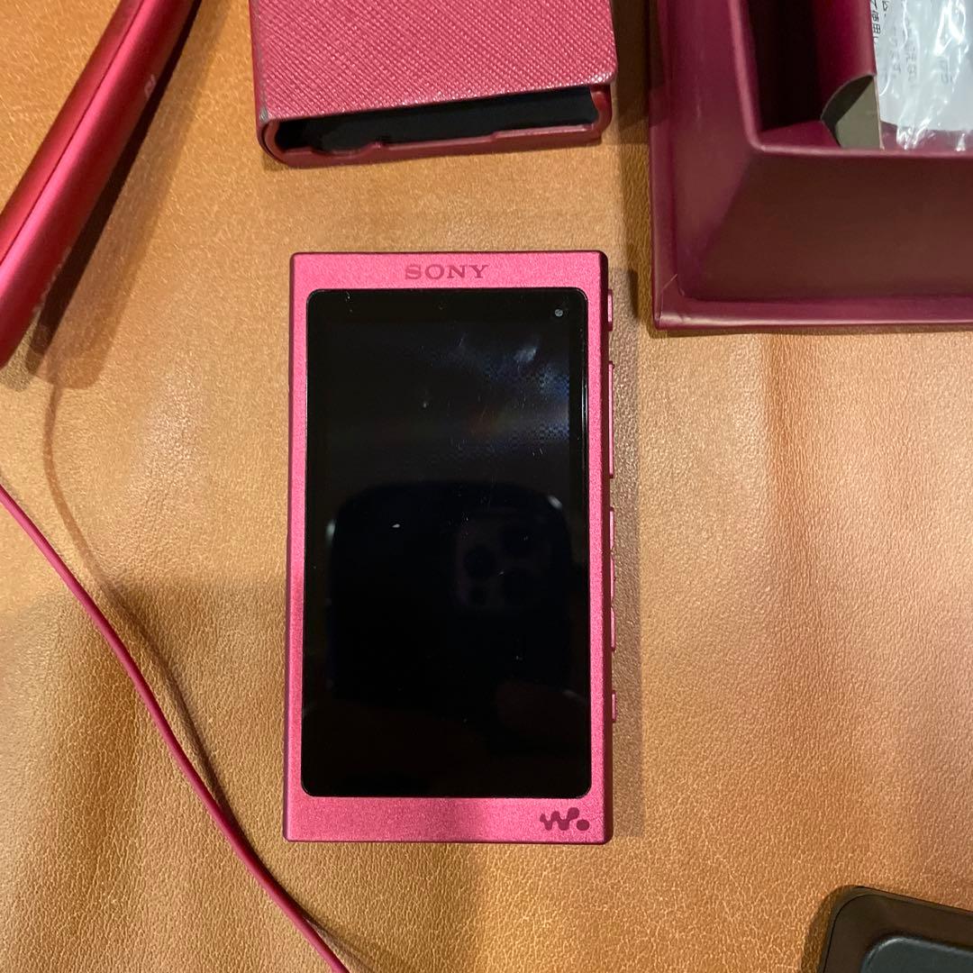 SONY NW-A35 デジタルオーディオプレーヤーケース付き動作正常