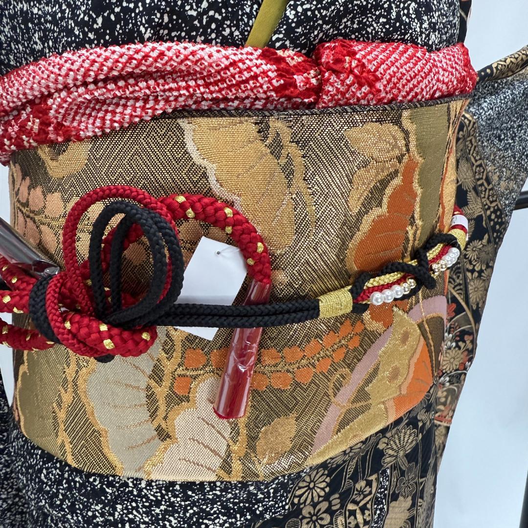 振袖フルセット 黒 刺繍 成人式 草履バック付 裄64.5cm S-200