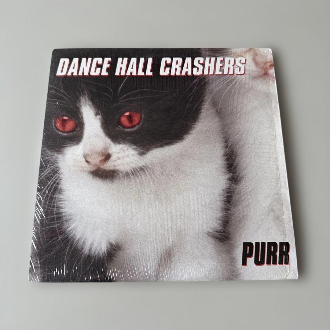 DANCE HALL CRASHERS / PURR (LP) +オマケ