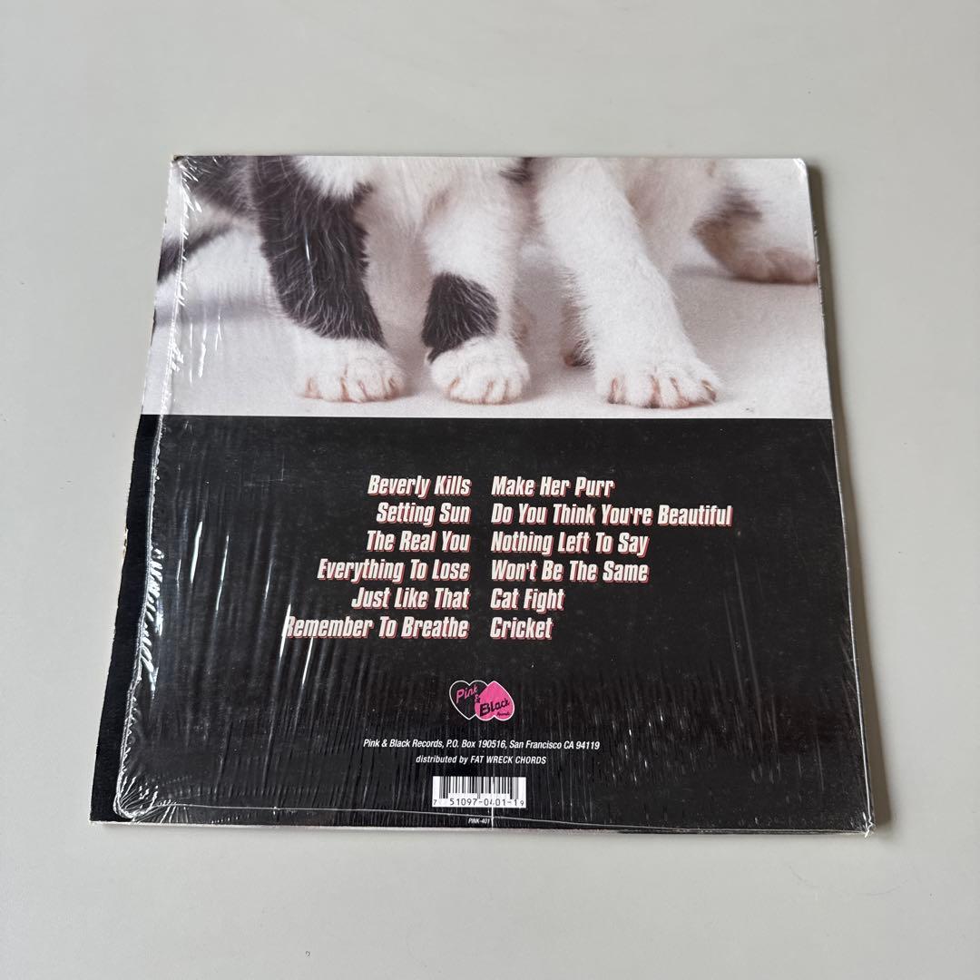 DANCE HALL CRASHERS / PURR (LP) +オマケ