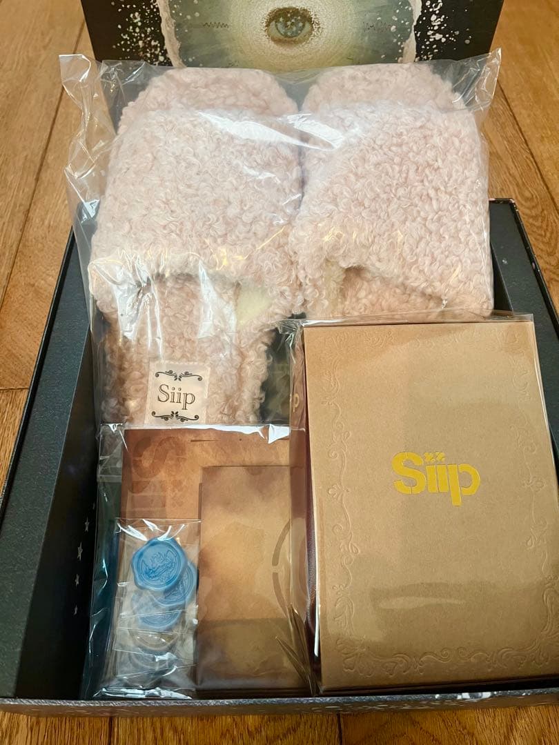 【Siip】ガイヤ　完全生産限定盤　GOODS(BOXあり)