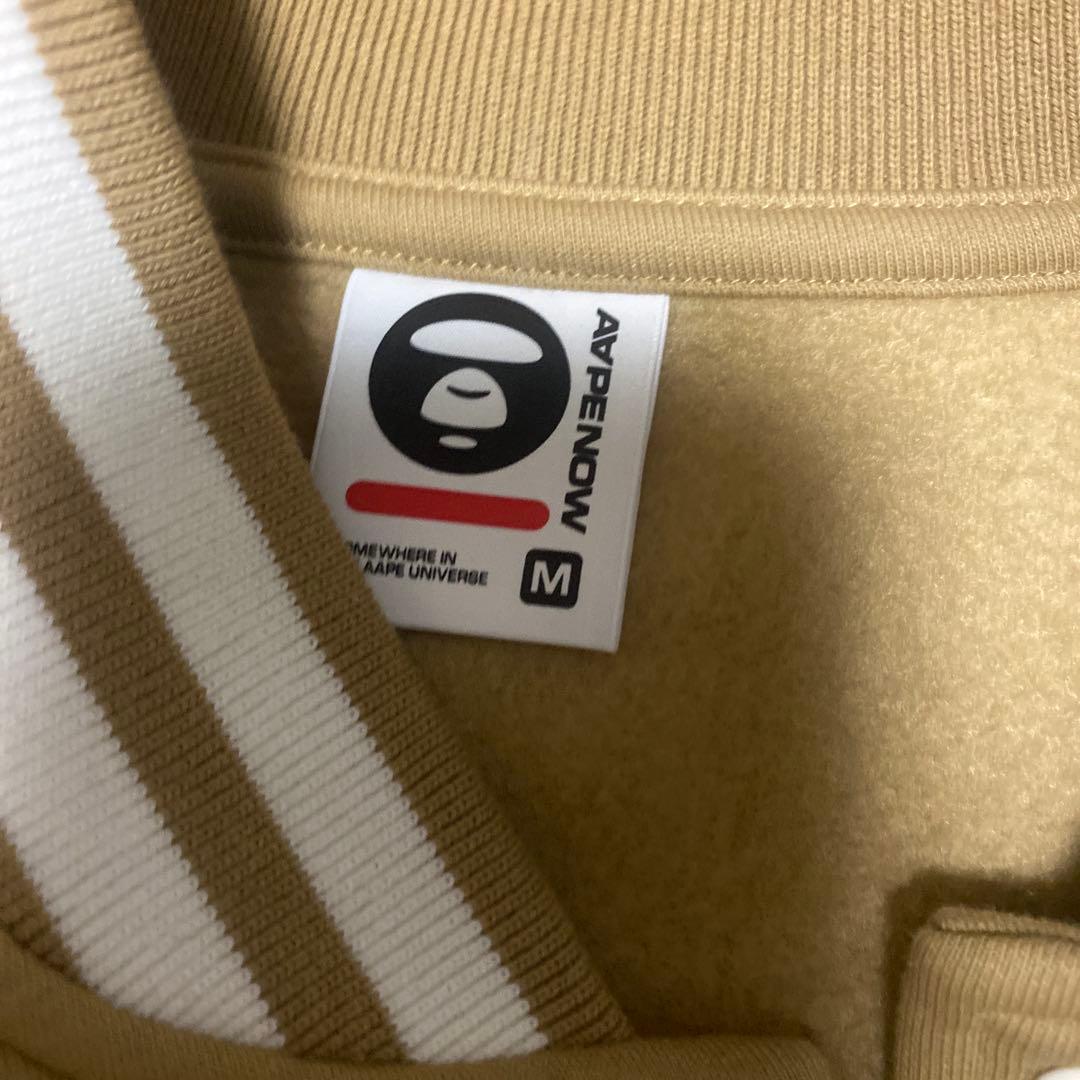 エイプスタジャン