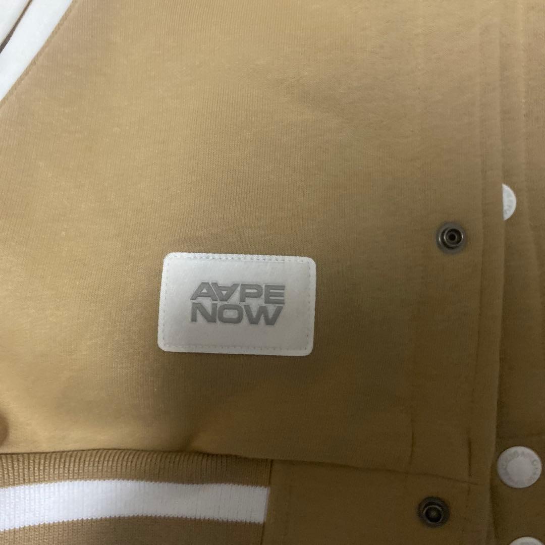 エイプスタジャン