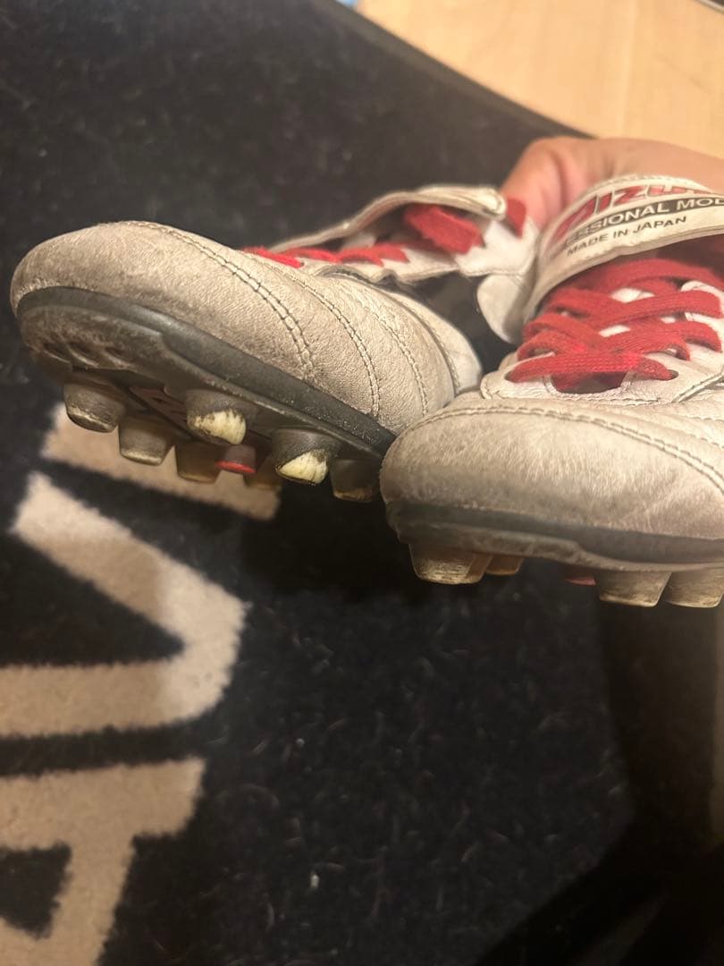 モレリア2 JAPAN ロングタン