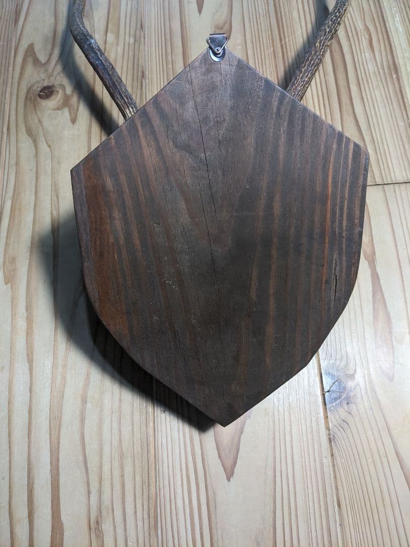 鹿角　壁掛け　ハンティングトロフィー　名勝耶馬渓産　鹿の角　有害鳥獣