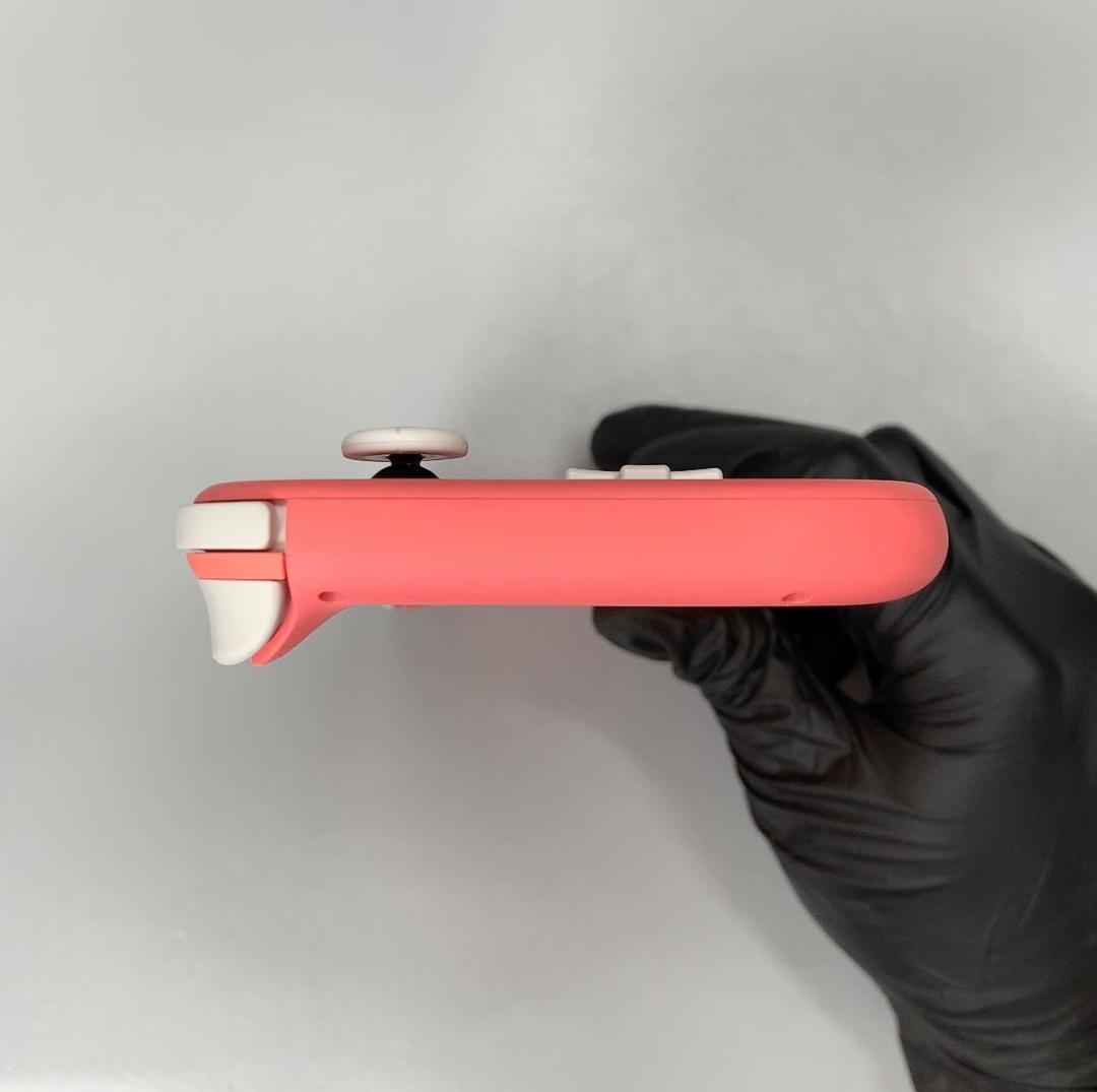 Nintendo Switch Lite 本体 動作品