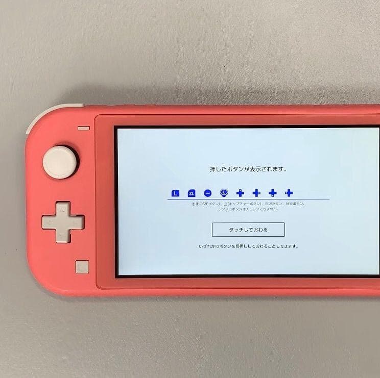 Nintendo Switch Lite 本体 動作品