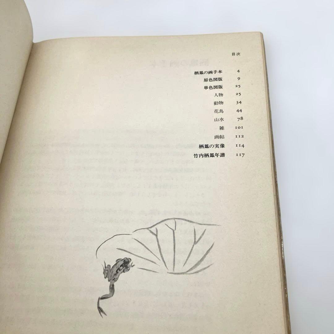 絶版 希少 竹内栖鳳の画手本 解説 下田義寛ほか 1978年グラフィック社