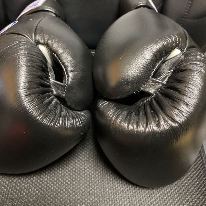 玉城厚志/心輝会空手 組手で使えるサバキ＆ボクシンググローブ１４オンス