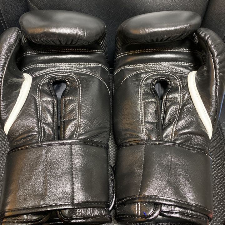 玉城厚志/心輝会空手 組手で使えるサバキ＆ボクシンググローブ１４オンス