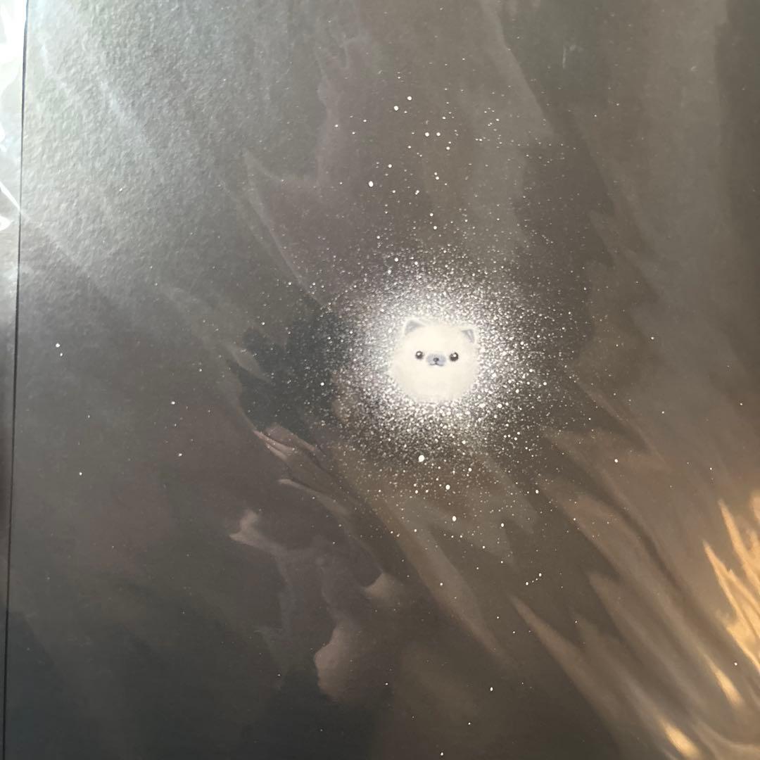 Kanekoayano - 石の糸 アナログレコード LP