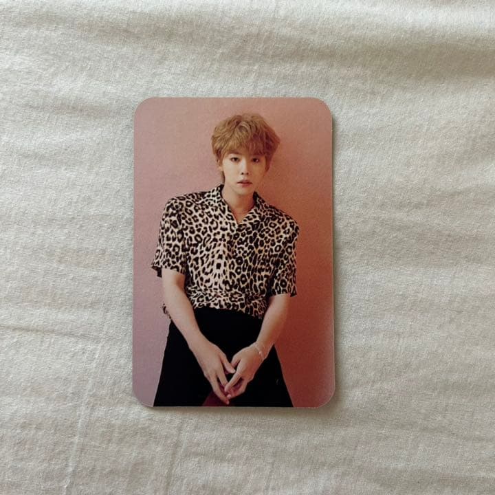 WINNER 韓国FC限定 トレカ WWIC ジヌ