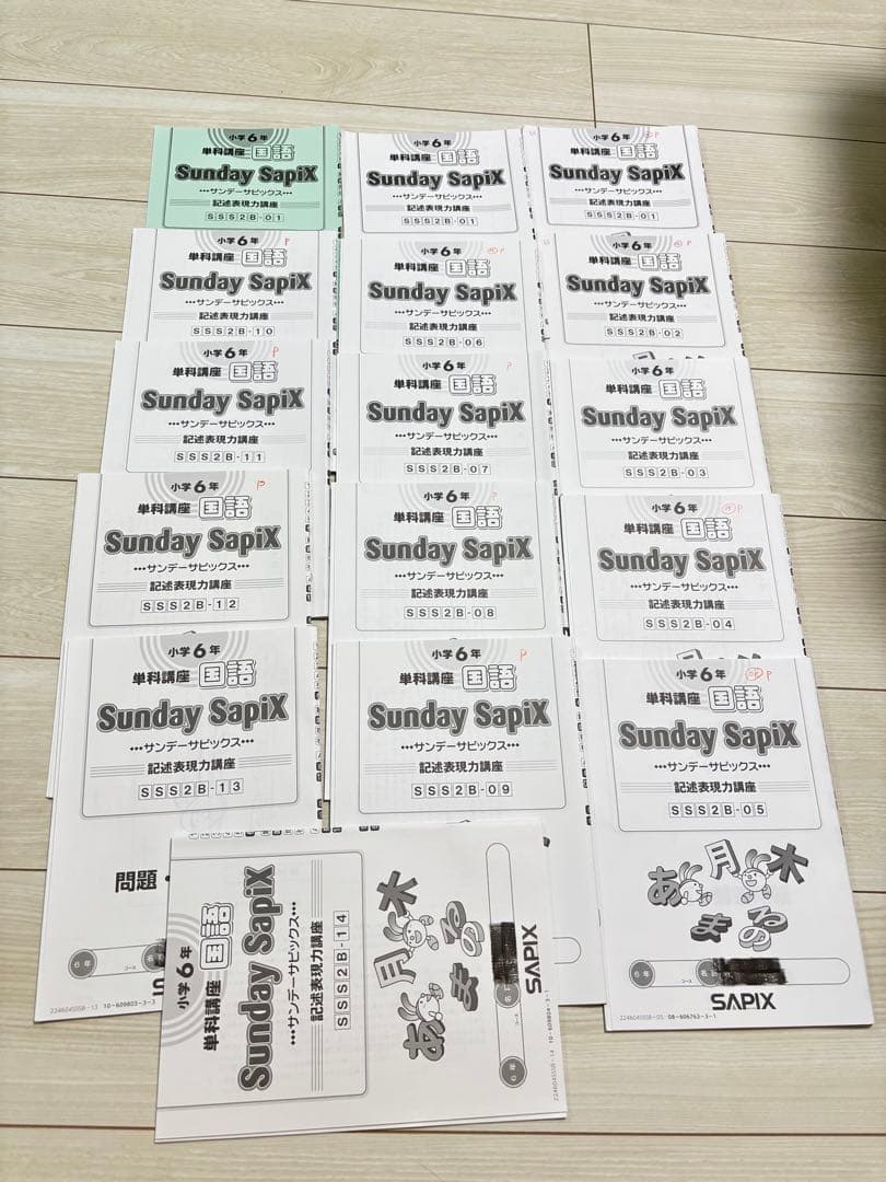【最新】Sapix 2024年度 6生 国語1年分