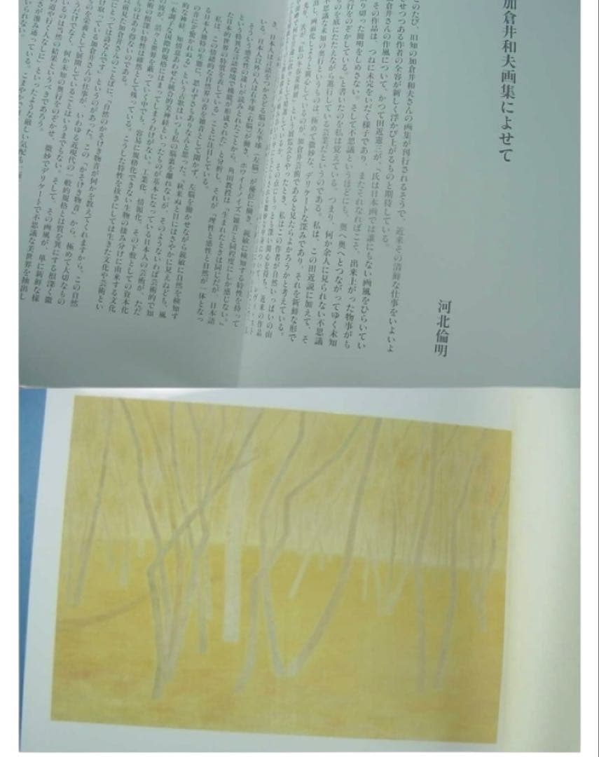 新品　激レア　貴重　「加倉井和夫画集 限定500部 定価98000円　保証付き