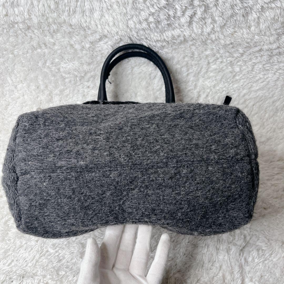 完売品 テレサカンビ イアパピヨネ 別注 2way トートバッグ パグ 未使用品