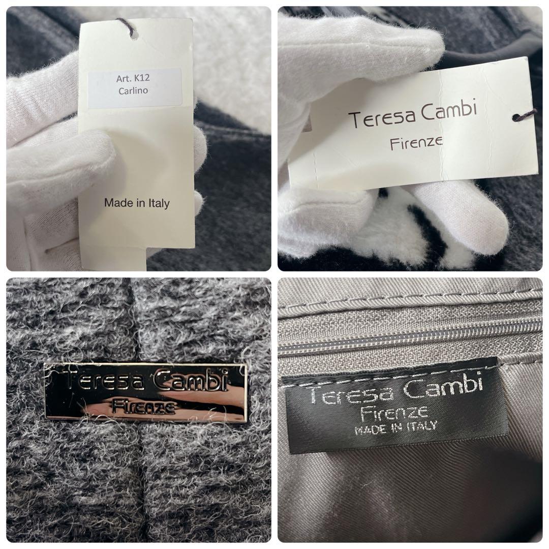 完売品 テレサカンビ イアパピヨネ 別注 2way トートバッグ パグ 未使用品