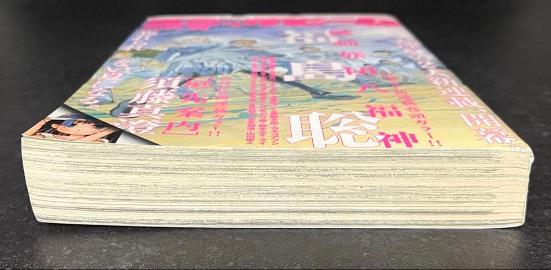 ●月刊コミックビーム 2004年 8月号 ●新連載 機動旅団八福神 福島聡