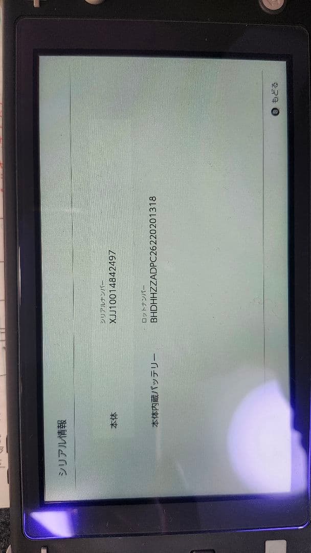 任天堂　スイッチ　ライト　128GBメモリカード　モンスターハンターライズ