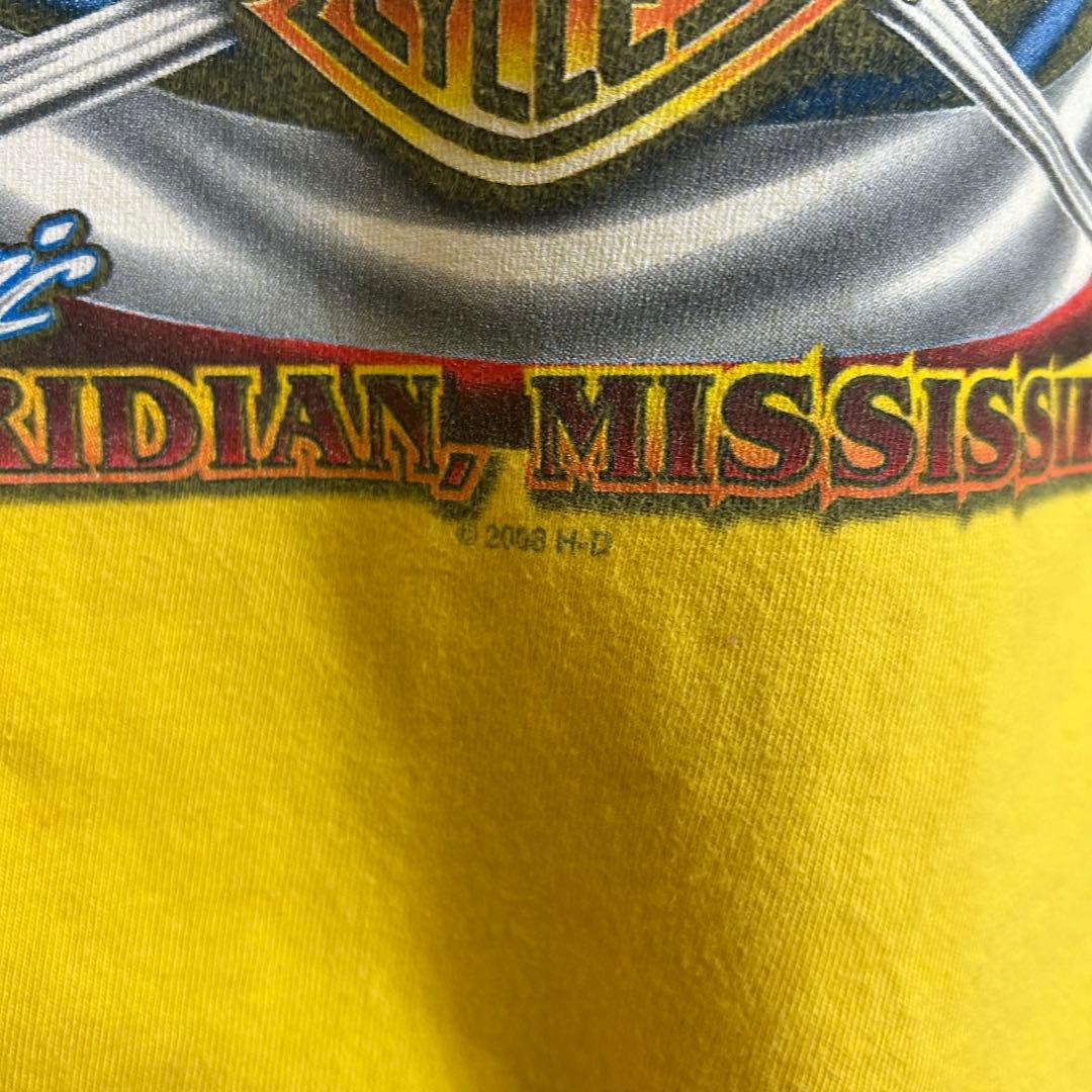 ハーレーダビッドソン　ロンT ビッグプリント