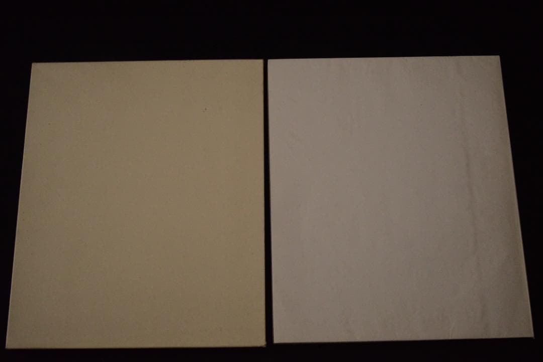 【Una Donna：Paolo Roversi】パオロ・ロベルシ 限定版