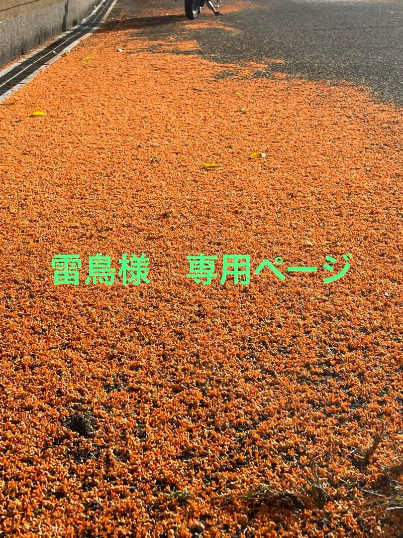 三線　三線たて　小物類　付き《お値下げしました》