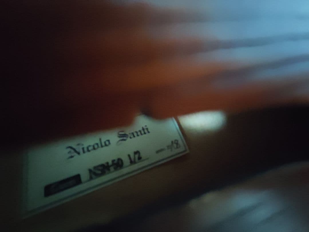 バイオリン　ジャンク