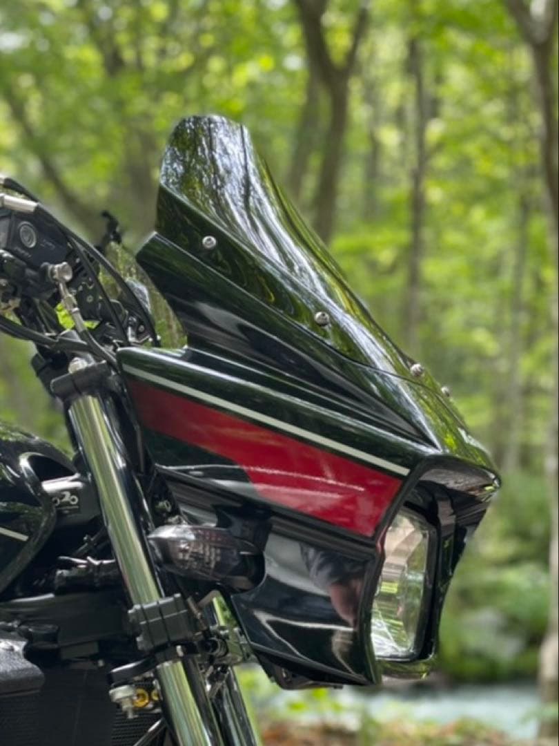 河*史様 ZRX1200 DAEG ゼログラビティ ロングスクリーン