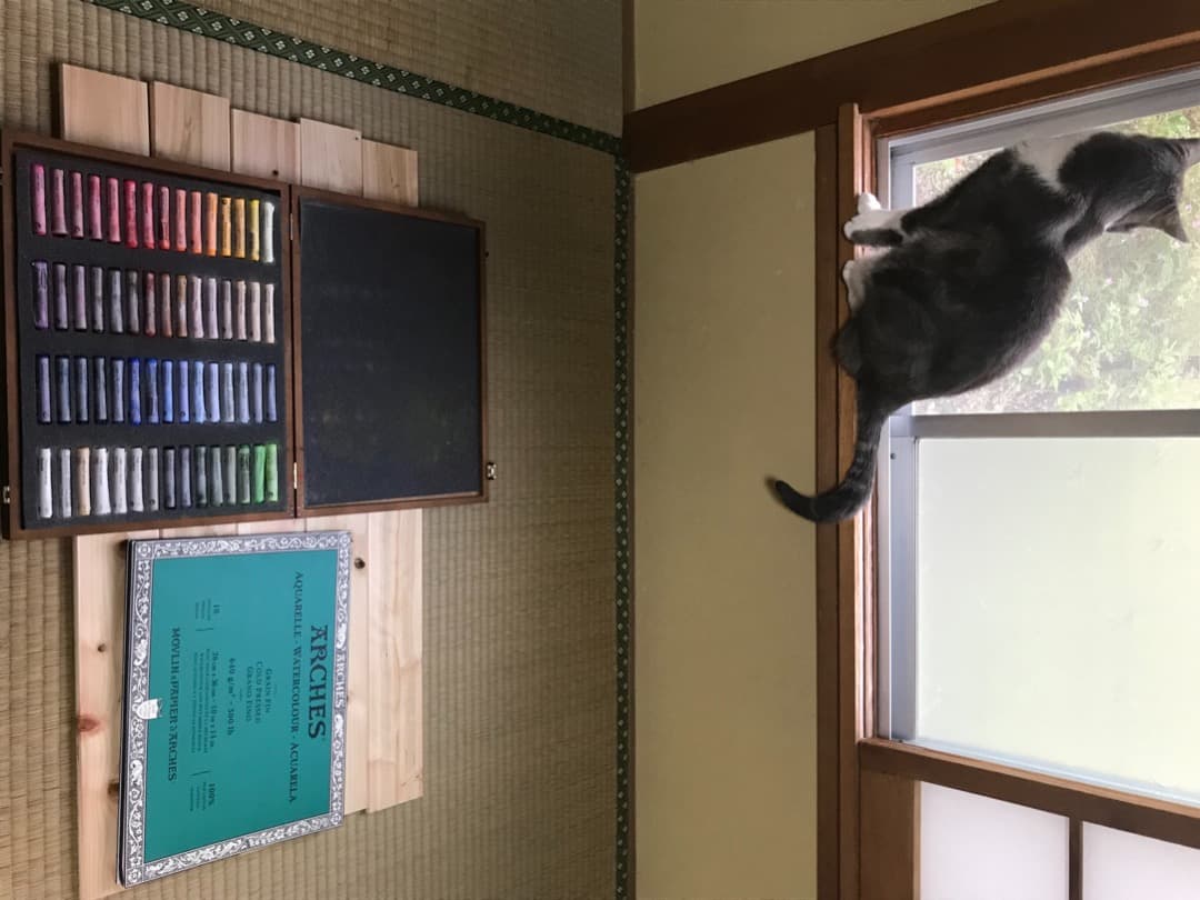 シュミンケパステル60色セット