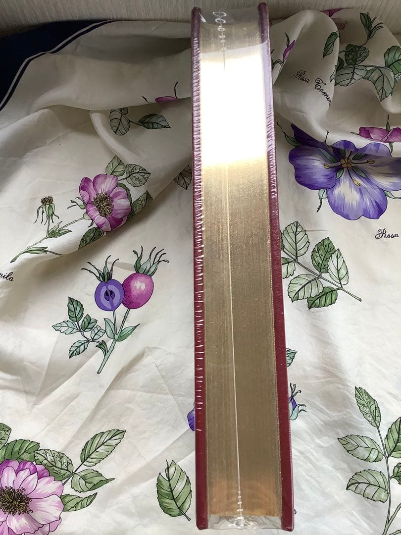 The Decameron by Boccaccio デカメロン ボッカッチョ