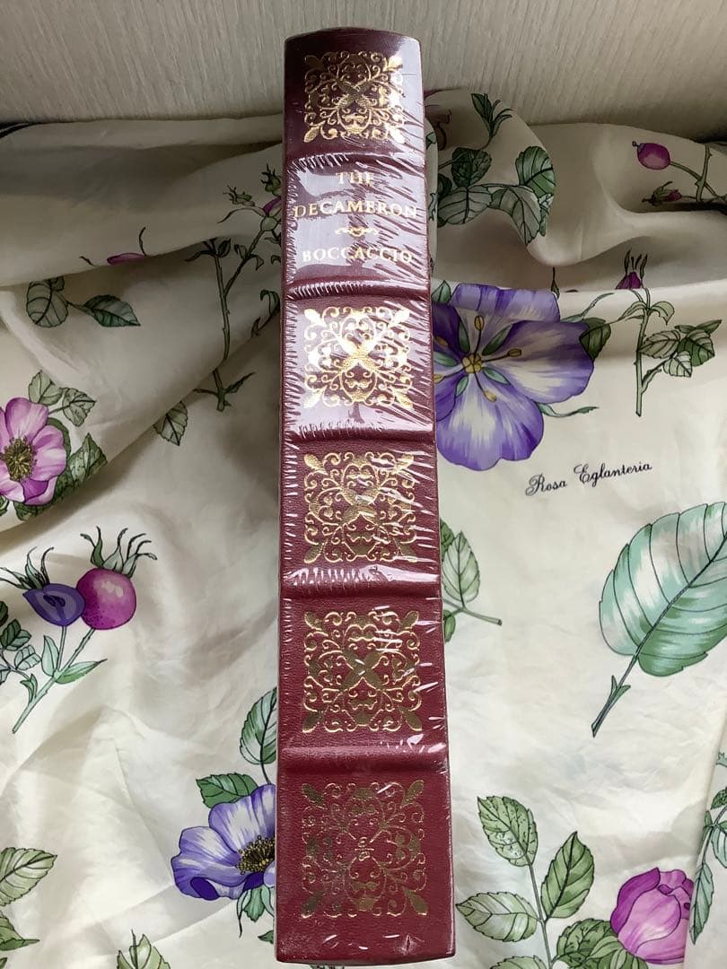 The Decameron by Boccaccio デカメロン ボッカッチョ