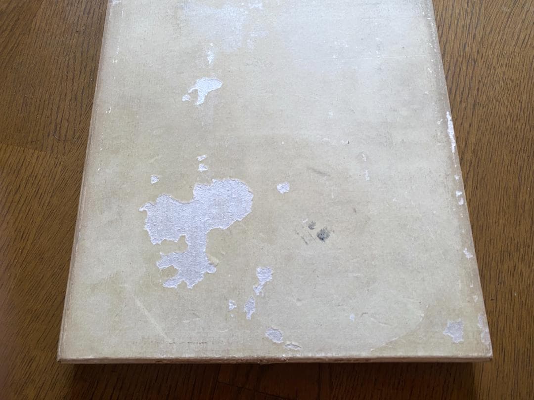 アービング・ペン 写真集 1960年発行