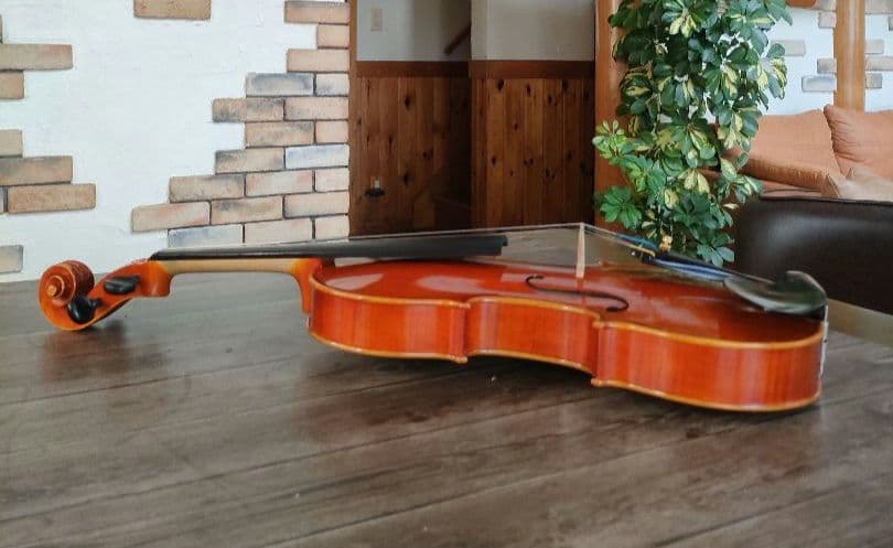 弦楽器 niko-nikoPYGMALIUS ST-03 4/4 1983