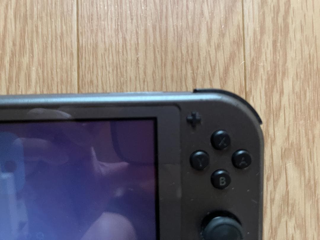 Takka　Nintendo Switch Lite ディアルガ・パルキア