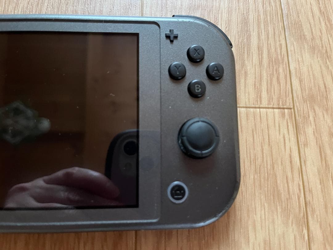 Takka　Nintendo Switch Lite ディアルガ・パルキア