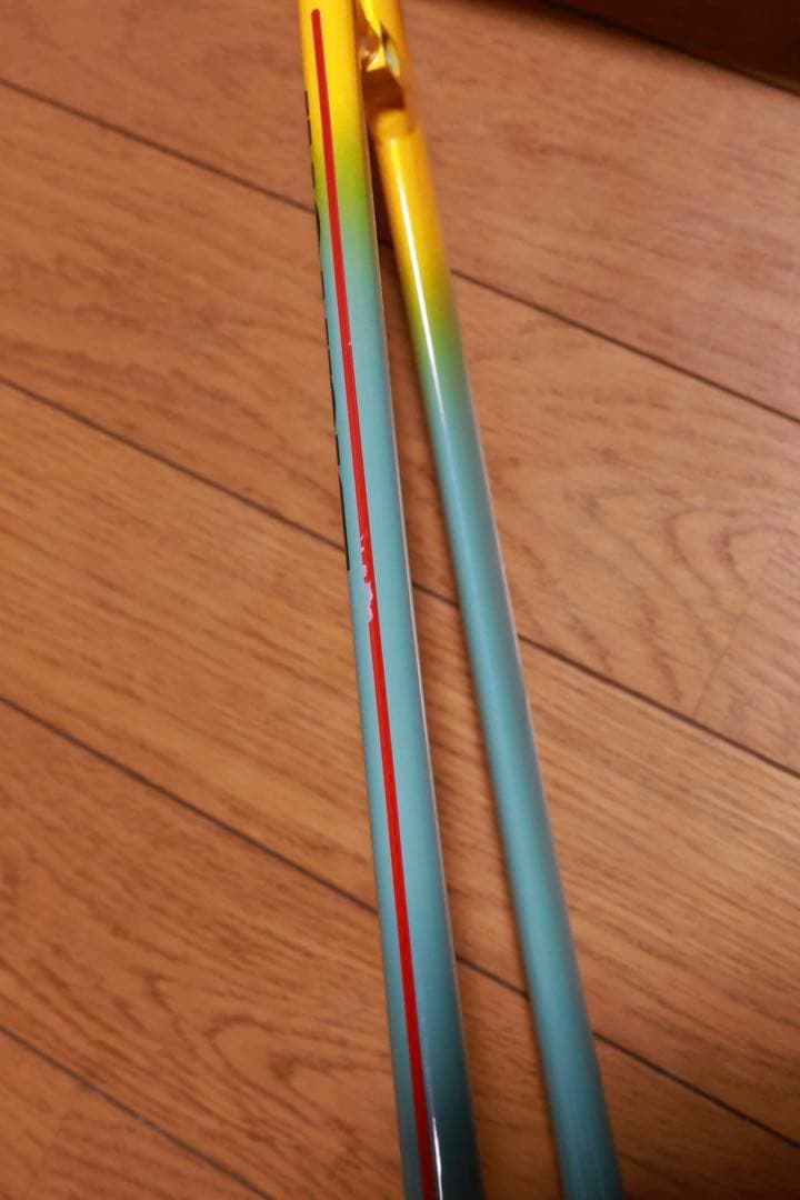 Bianchi fenice proロードバイクフレーム