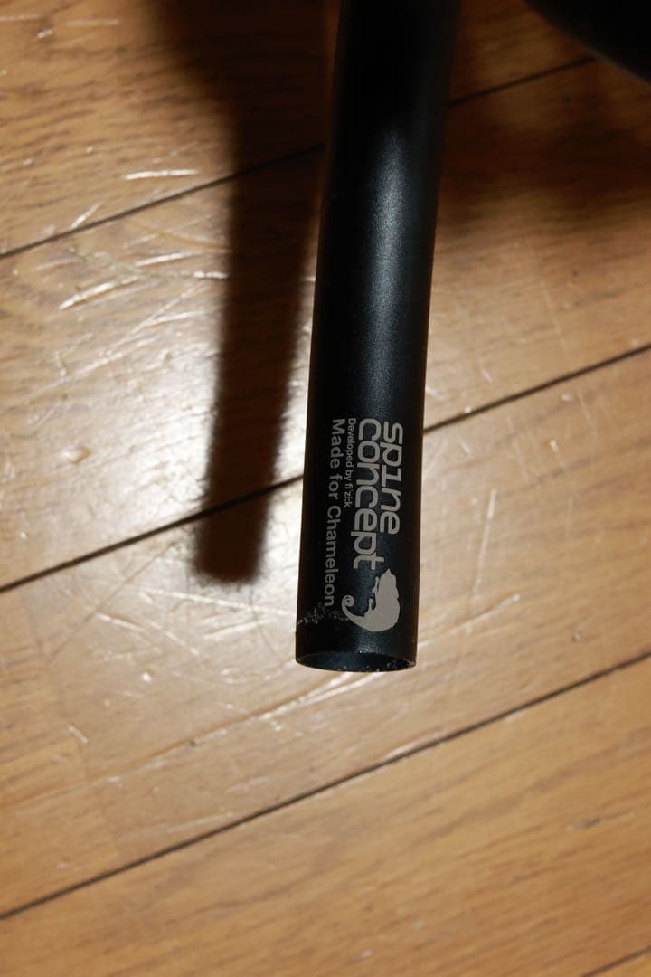 Bianchi fenice proロードバイクフレーム